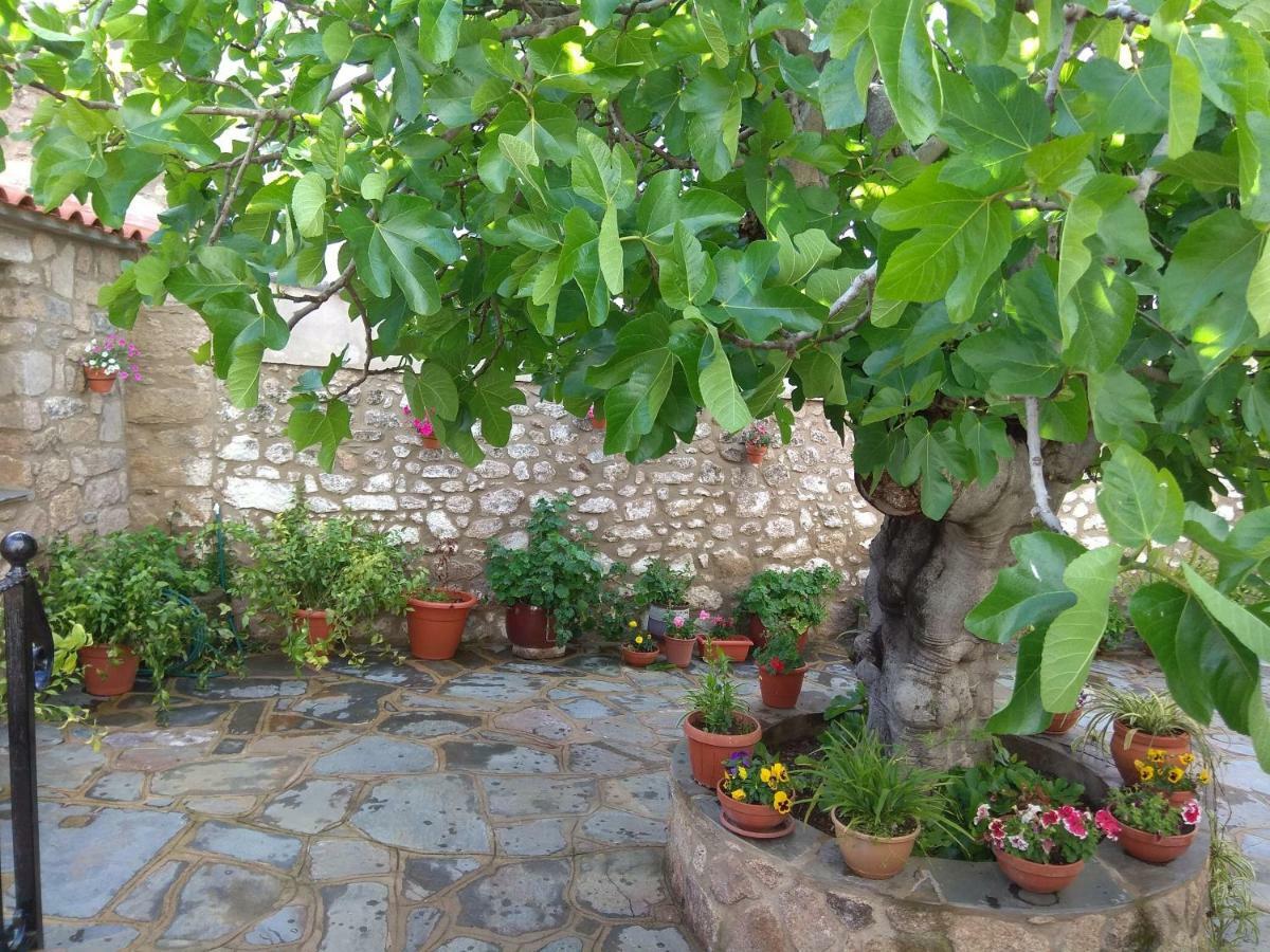 Apartamentos Rurales Tia Maria Mata de Alcantara Exterior photo